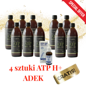 Zestaw 6+4 CELL UP ATP H+ - WSPARCIE ENERGII W MITOCHONDRIACH